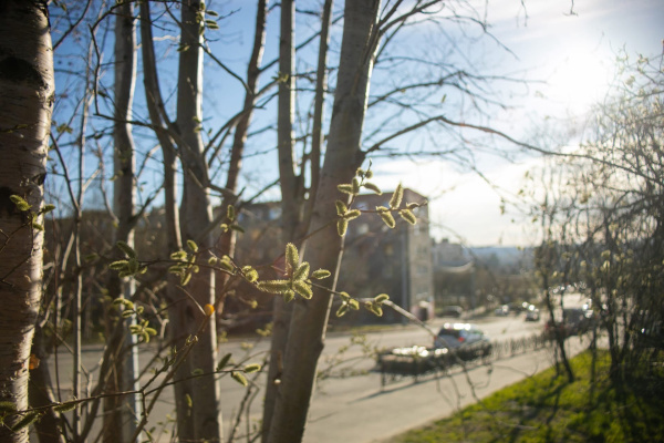 Анонсирован график личных приёмов депутатов Совета депутатов города Мурманска